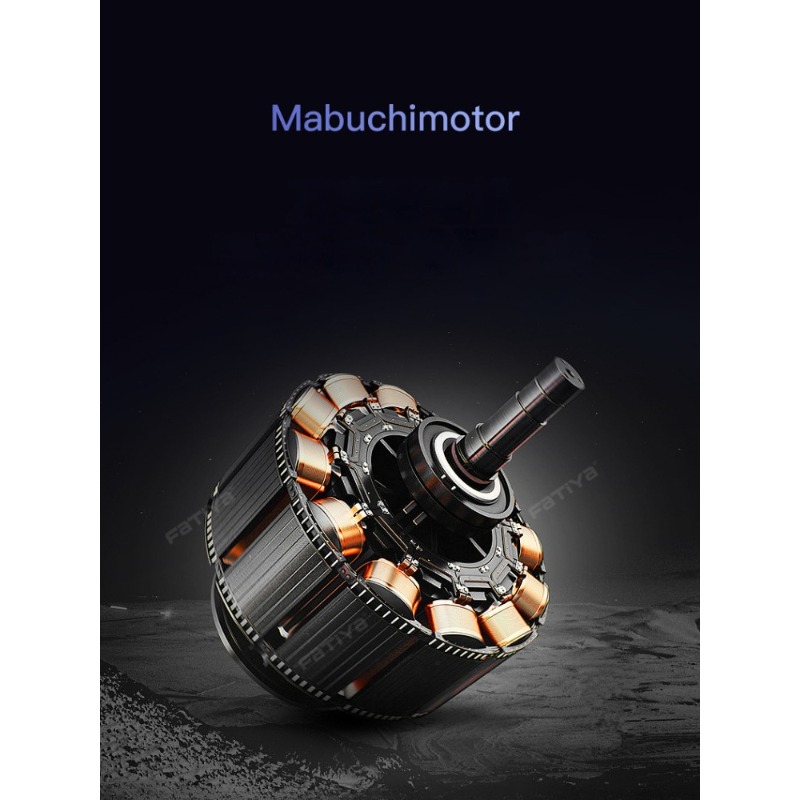 Automatische mechanische Uhr W – Luxury Watch Storage Bewertung und Preis