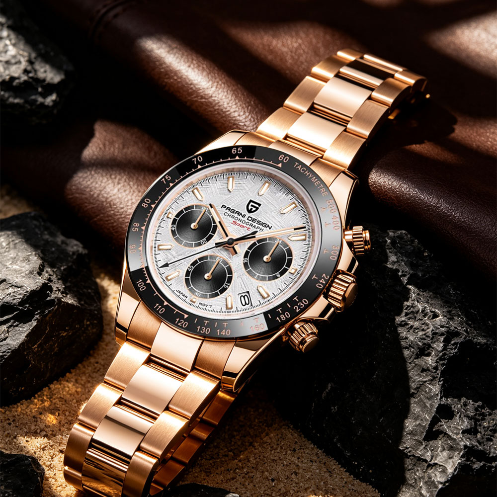 Top-Marke PAGANI DESIGN Luxus- – Luxury Watch For Men Bewertung und Preis